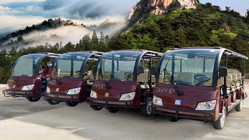 景區(qū)電動(dòng)觀(guān)光車(chē)